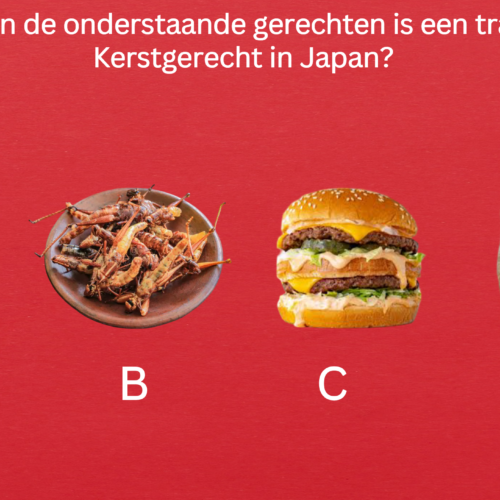 voorbeeld 1