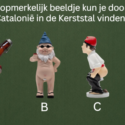 voorbeeld 4